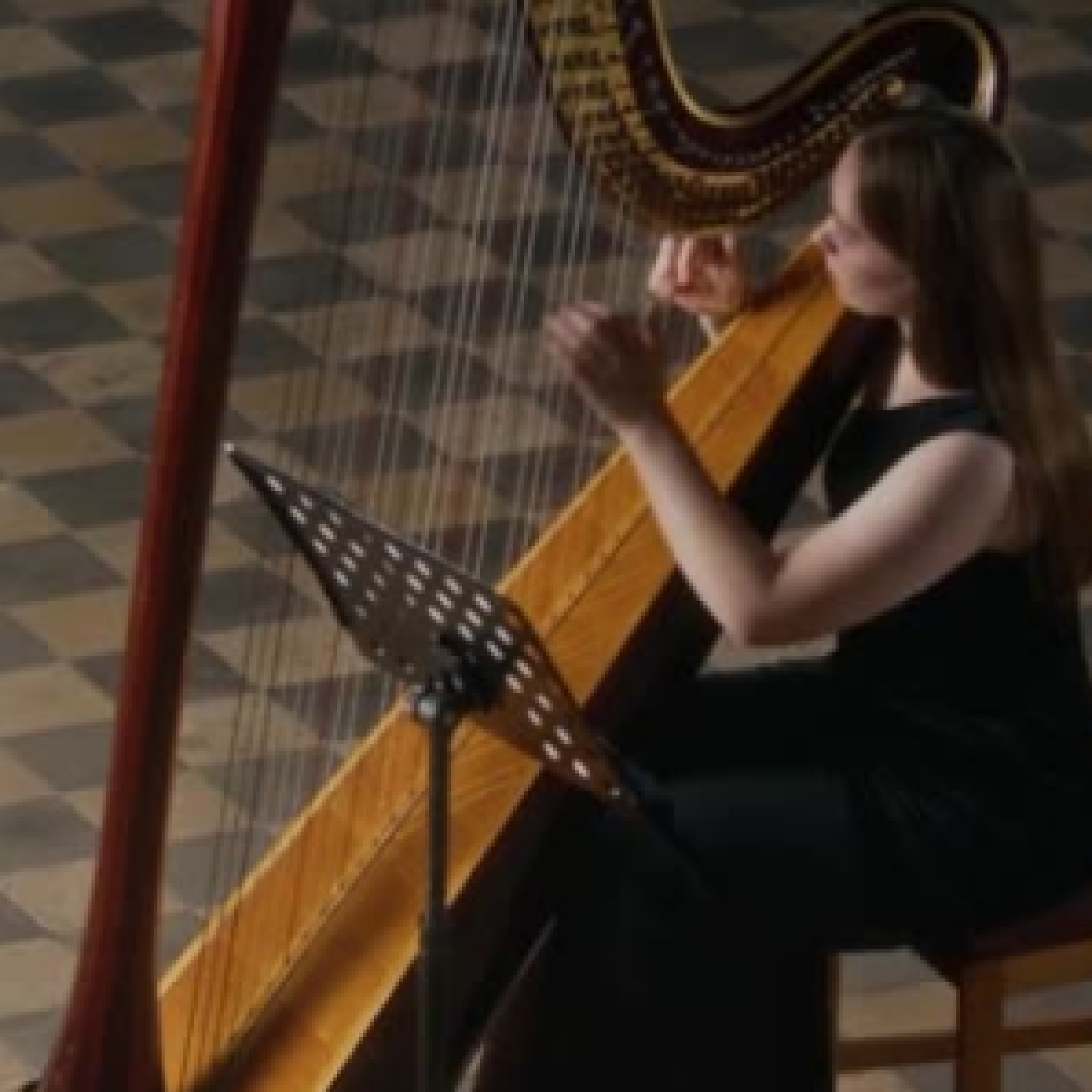 Screenshot 2026-01-09 174225 Screenshot 2026-01-09 174225