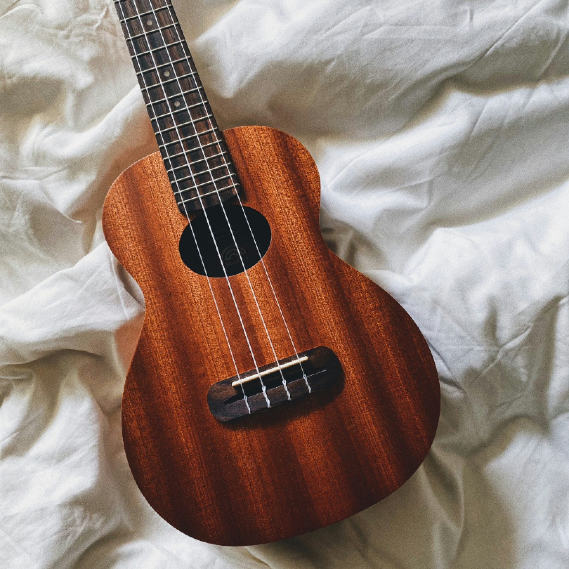 leannk-zi8RBJFjReY-unsplash leannk-zi8RBJFjReY-unsplash