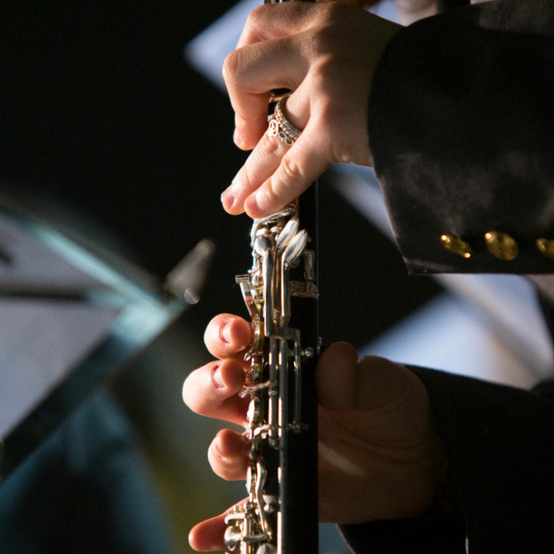 pexels-carlos-araujo-155336925-13906996 pexels-carlos-araujo-155336925-13906996